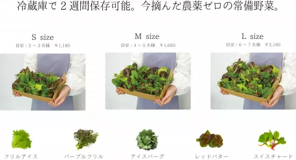 【無菌の無農薬野菜プレゼント】収穫30分の野菜を食卓へ配達。福岡に12月オープンのGG.SUPPLYがモニター募集。