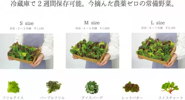 【無菌の無農薬野菜プレゼント】収穫30分の野菜を食卓へ配達。福岡に12月オープンのGG.SUPPLYがモニター募集。