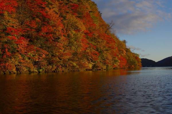 【奥入瀬渓流ホテル】 「紅葉プレミアムオープンバスツアー」今年も実施！紅葉&times;渓流の景色を&ldquo;紅葉コンシェルジュ&rdquo;と楽しむ｜期間：2021年10月16日～31日（土日限定）
