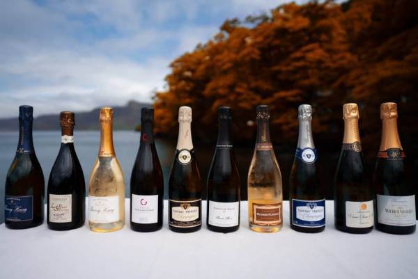 【奥入瀬渓流ホテル】 「紅葉プレミアムオープンバスツアー」今年も実施！紅葉&times;渓流の景色を&ldquo;紅葉コンシェルジュ&rdquo;と楽しむ｜期間：2021年10月16日～31日（土日限定）