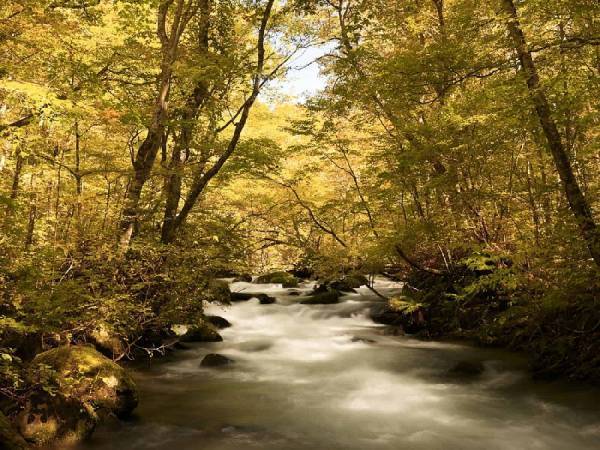 【奥入瀬渓流ホテル】 「紅葉プレミアムオープンバスツアー」今年も実施！紅葉&times;渓流の景色を&ldquo;紅葉コンシェルジュ&rdquo;と楽しむ｜期間：2021年10月16日～31日（土日限定）
