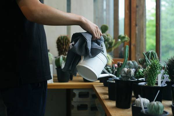 ＜新商品＞ 麻の心地よさを伝えたい。タオル専門店「伊織」と「Landscape Products 」とのコラボレーションタオル第二弾「PLAIN PLAID（プレインプレイド）」が登場！