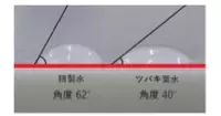しっとりをたっぷり。四季を問わず瑞々しい椿の「葉」から生まれた保湿水 「椿の葉 保湿水」を9月28日新発売