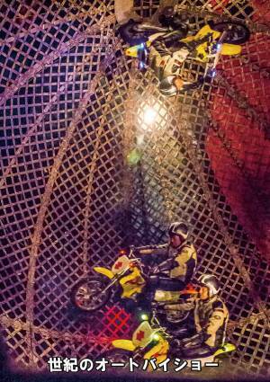 創立１１９年 木下大サーカス　湘南地域で初開催　カンフェティでチケット発売開始