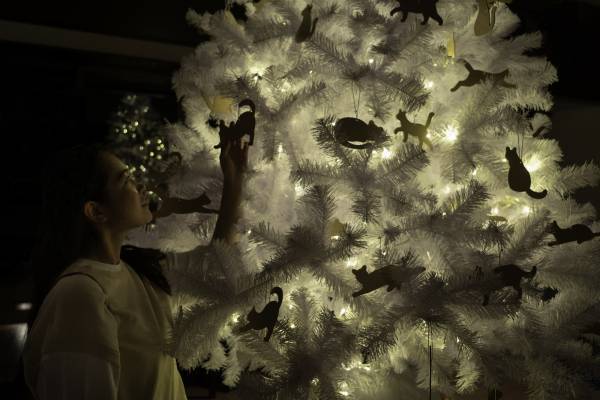 【西表島ホテル】イリオモテヤマネコをモチーフにしたツリーやリースが登場！「イリオモテヤマネコクリスマス」開催｜期間：2021年12月1日～25日