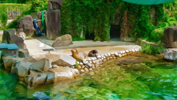 学園生活コミュニティ「キャラフレ」｜2021修学旅行イベント『神戸・姫路・淡路島』のお知らせ