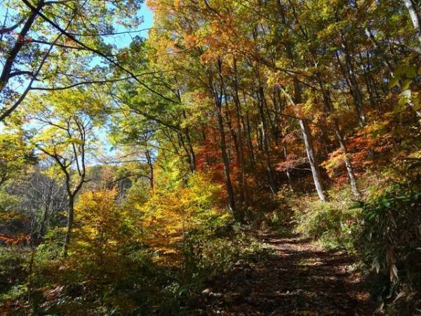 【ライムリゾート妙高】自然の中で&rdquo;馬&rdquo;と触れ合う秋の滞在プラン