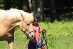 【ライムリゾート妙高】自然の中で”馬”と触れ合う秋の滞在プラン