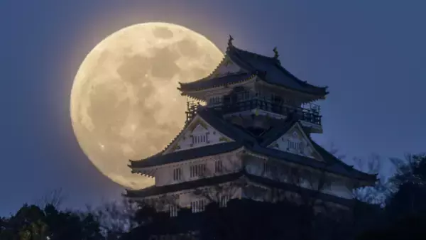 【話題の本.com】ビジネスパーソン必見！『謙虚力　超一流のリーダーになる条件』特設ページOPEN！