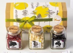 「健康＝減塩」ではありません&times;大切なのは「適塩」という考え方 青山志穂 著『免疫力を高める 塩レシピ』2021年10月18日発刊