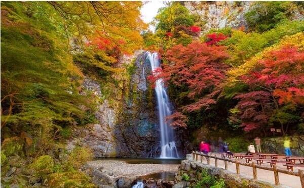 紅葉鑑賞なら【箕面観光ホテル】、食欲の秋なら【ホテルレオマの森】。感染症対策徹底の大江戸温泉物語で秋の楽しみを満喫する旅を。