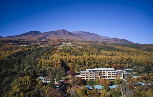 【ひらまつホテル】森のプライベートなテーブルでコース料理を楽しむ、ヴィラ限定「フォレストダイニング」誕生。～THE HIRAMATSU 軽井沢 御代田～