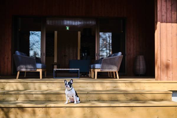 【ひらまつホテル】森のプライベートなテーブルでコース料理を楽しむ、ヴィラ限定「フォレストダイニング」誕生。～THE HIRAMATSU 軽井沢 御代田～