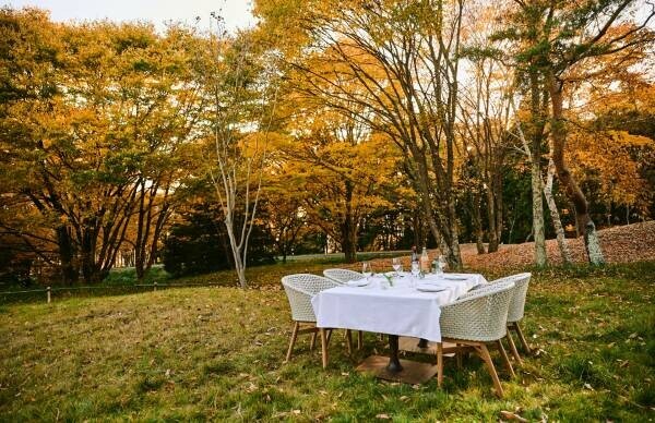 【ひらまつホテル】森のプライベートなテーブルでコース料理を楽しむ、ヴィラ限定「フォレストダイニング」誕生。～THE HIRAMATSU 軽井沢 御代田～
