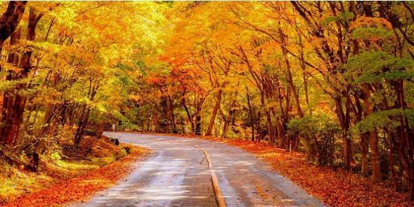 ウォーキング、ドライブ、川下りで、紅葉を楽しむスポット充実。感染症対策徹底の宿、大江戸温泉物語 栃木の宿で【秋のまんぞくバイキング】スタート