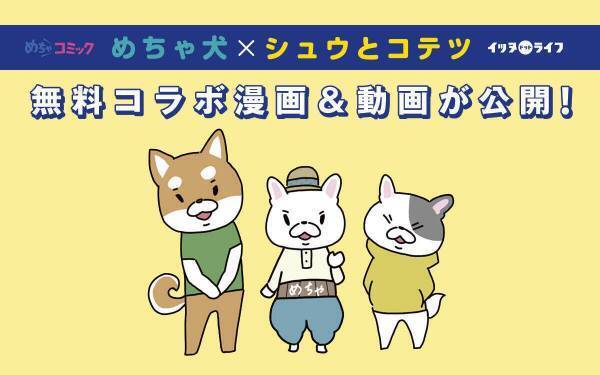 「めちゃコミック」&times;「イッヌドットライフ」コラボ第2弾、コラボ漫画と新作動画を無料公開！