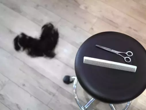 葛西駅徒歩1分『Believe 葛西店』の情報を駅近ドットコムで公開！ベテランスタイリストぞろいの信頼できるヘアサロン