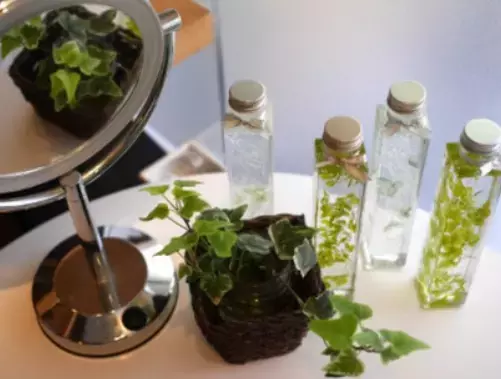 葛西駅徒歩1分『Believe 葛西店』の情報を駅近ドットコムで公開！ベテランスタイリストぞろいの信頼できるヘアサロン