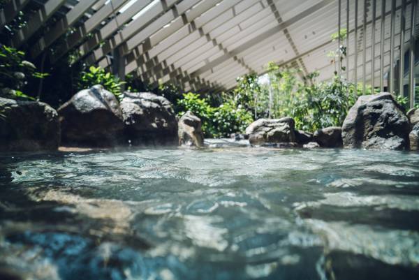 【界&times;株式会社フェリーさんふらわあ】「さんふらわあ」のカジュアルクルーズで航(い)く第2弾企画 「ドラマティック船旅湯治プラン」販売開始｜期間：2021年11月16日～2022年3月30日