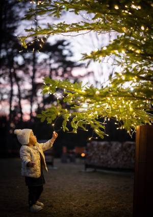 【ひらまつホテル】森のグラン・オーベルジュで過ごすクリスマスシーズン。人気の「TAKIBIラウンジ」も冬仕様にアップデートされ、飲食メニューも充実。