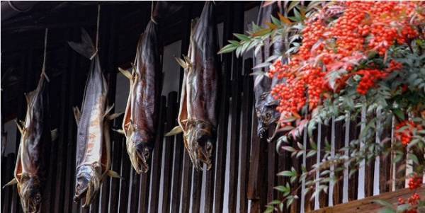 2021年のご褒美旅、2022年の温泉初めに訪ねたい、ご当地の味、この時期ならではの観光が楽しめる大江戸温泉物語の4つの宿。