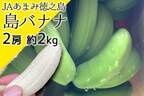 一度食べるとやみつきになる？！ 鹿児島県産の「島バナナ」が産地直送通販サイト「ＪＡタウン」で販売開始！