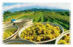 肌時計の乱れを整える、SONOKO最高峰の美容液「ザ・ソノコ セラム」誕生【SONOKO】