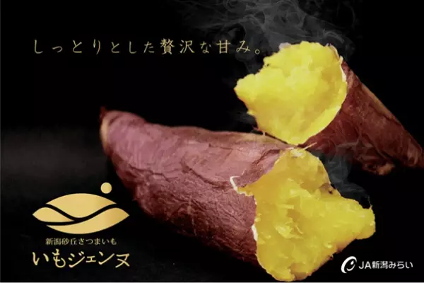 しっとりとした食感と贅沢な甘さがたまらない 新潟県産さつまいも「いもジェンヌ」が産地直送通販サイト「ＪＡタウン」で販売開始！