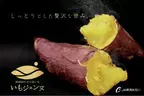 しっとりとした食感と贅沢な甘さがたまらない 新潟県産さつまいも「いもジェンヌ」が産地直送通販サイト「ＪＡタウン」で販売開始！