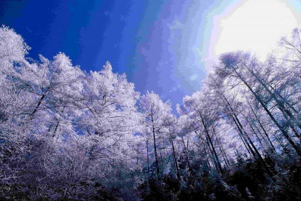 【星のや軽井沢】氷上の特等席で大切な人と特別な時間を過ごす「星のや軽井沢 星冴ゆる冬の記念日プラン」販売開始｜期間：2021年12月1日~2022年2月28日