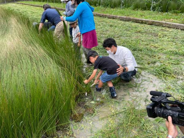 紀州産いぐさをつくる『inoca』が &ldquo;ART EXPO N.Y.2021&rdquo;に出展