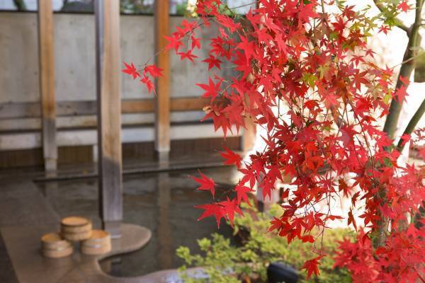【界】～紅葉を愛で、秋を感じるひととき～温泉旅館で秋を満喫「紅葉に酔いしれる界の温泉旅」開催｜期間：2021年9月1日〜11月30日