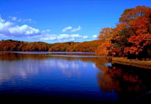 【界】～紅葉を愛で、秋を感じるひととき～温泉旅館で秋を満喫「紅葉に酔いしれる界の温泉旅」開催｜期間：2021年9月1日〜11月30日