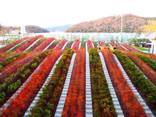 【界】～紅葉を愛で、秋を感じるひととき～温泉旅館で秋を満喫「紅葉に酔いしれる界の温泉旅」開催｜期間：2021年9月1日〜11月30日