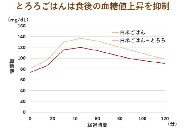 年末年始の胃腸疲れは麦とろごはんで癒そう