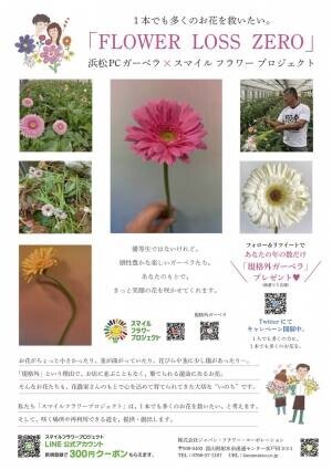 【お花を救う】華道家『假屋崎省吾邸にいける』展にて規格外のガーベラを展示！