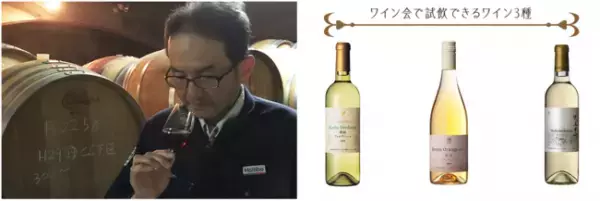 通常の飲み放題にプラス1,000円で限定ワインも飲み放題に！大江戸温泉物語 ホテル新光が開催する【温泉宿で気軽に楽しむワイン会】で醸造家から学ぶ、山梨ワインの魅力