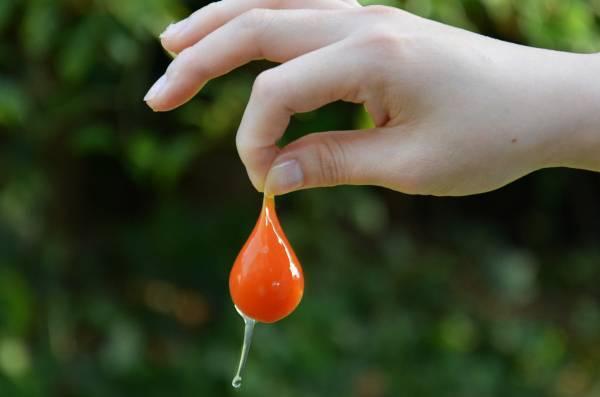 出店予約半年待ち！幻の卵屋さんが五反田駅に出現します！