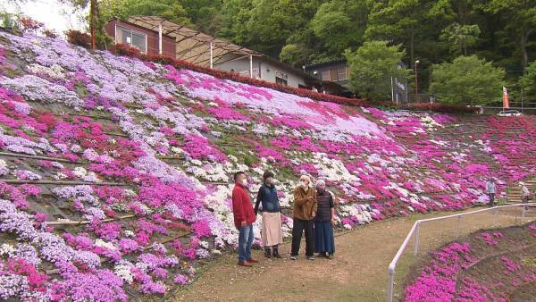 ５up！　ポツンと一軒グルメ  傑作選 ～県内でみつけた家族の絆と人情物語～