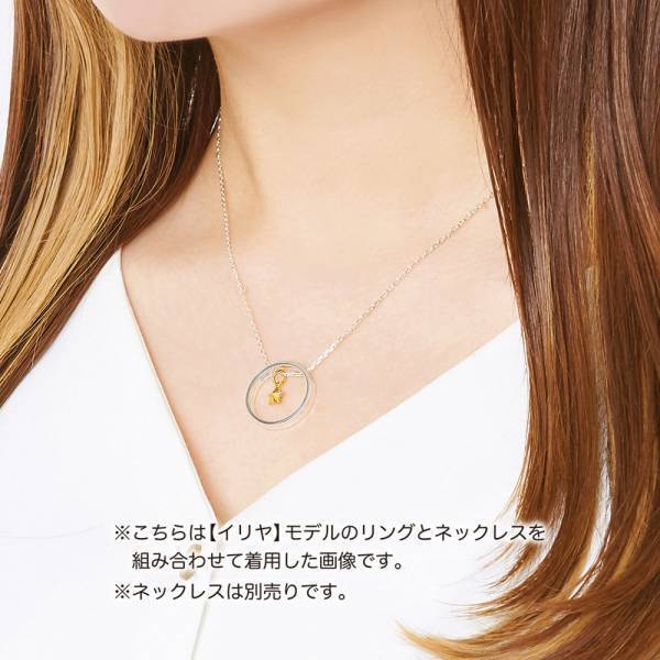 劇場版「Fate/kaleid liner プリズマ☆イリヤ Licht 名前の無い少女」コラボジュエリー　9/17（金）から受注販売開始！