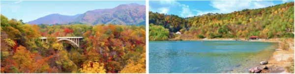 秋の花、紅葉を楽しむ温泉旅へ。感染症対策徹底の宿、大江戸温泉物語 宮城の宿で【秋のまんぞくバイキング】開催中