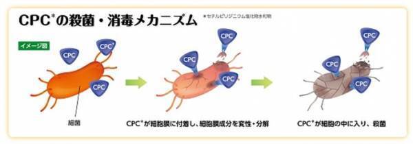 「ヴイックス メディケイテッド スプレー」新発売！