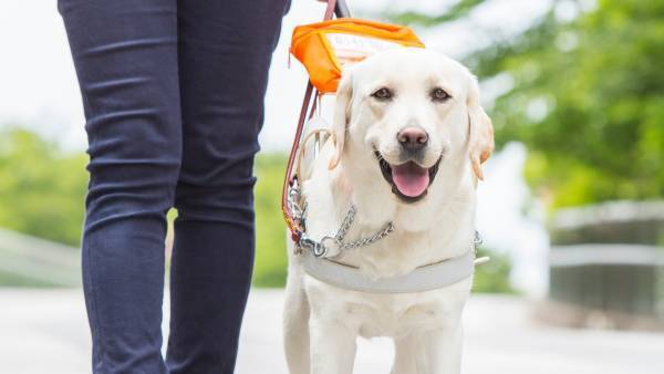 「パリミキ・ロービジョン商品体験会」 開催のお知らせ