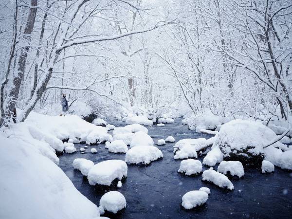 【奥入瀬渓流ホテル】 幻想的な「苔氷」の&ldquo;ミクロの世界&rdquo;を満喫！「冬のおいらせ苔氷さんぽ」新登場｜期間：2022年2月5日〜27日（土日限定）