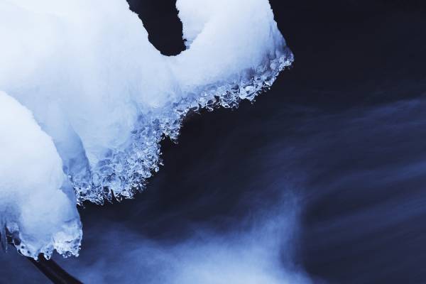 【奥入瀬渓流ホテル】 幻想的な「苔氷」の&ldquo;ミクロの世界&rdquo;を満喫！「冬のおいらせ苔氷さんぽ」新登場｜期間：2022年2月5日〜27日（土日限定）