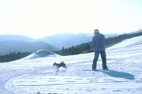 【トマム】愛犬と一緒にスキー・スノーボードを楽しめる 「わんわんゲレンデ」今冬もオープン ～北海道で愛犬と一緒に雪を楽しむ、特別な時間～｜期間：2021年12月20日～2022年3月31日