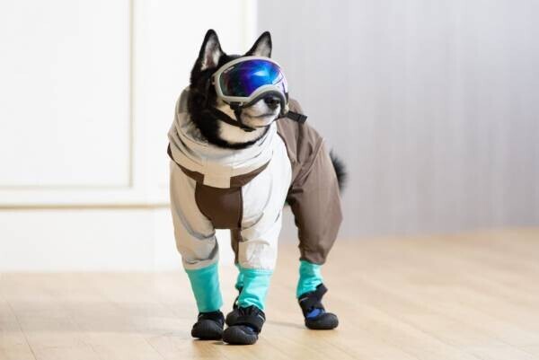 【トマム】愛犬と一緒にスキー・スノーボードを楽しめる 「わんわんゲレンデ」今冬もオープン ～北海道で愛犬と一緒に雪を楽しむ、特別な時間～｜期間：2021年12月20日～2022年3月31日