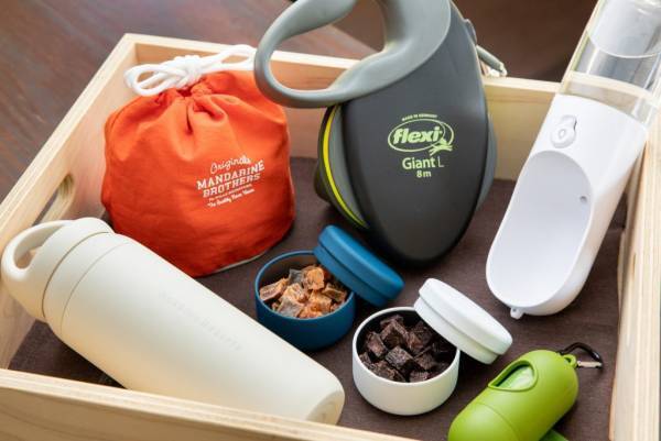 【トマム】愛犬と一緒にスキー・スノーボードを楽しめる 「わんわんゲレンデ」今冬もオープン ～北海道で愛犬と一緒に雪を楽しむ、特別な時間～｜期間：2021年12月20日～2022年3月31日