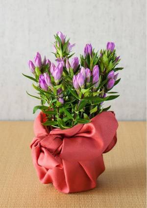 「幸せを包み込む」2021年 敬老の日にお届けするフラワーギフト<予約販売開始>