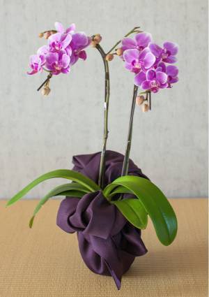 「幸せを包み込む」2021年 敬老の日にお届けするフラワーギフト<予約販売開始>